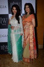 on Day 1 at IIJW 2015 on 3rd Aug 2015